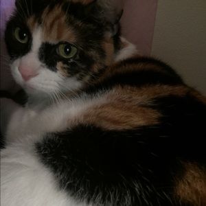 Meet your Posher, Aj